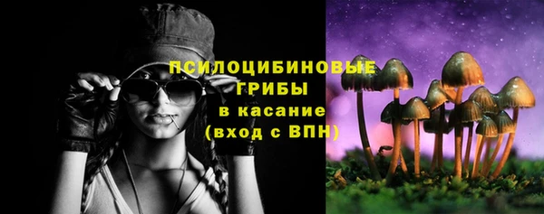сатива Киреевск