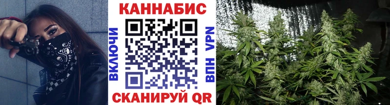 Шишки марихуана сатива Купить Менделеевск